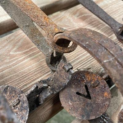 Steel Traps