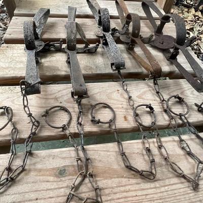 Steel Traps