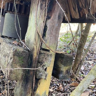 Two Roller Cane Mill