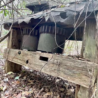 Two Roller Cane Mill