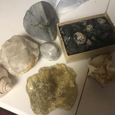 ROCK AND SHELL SPECIMENS