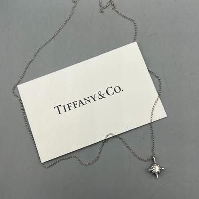 Tiffany & Co Diamond Star Pendant Sterling Silver Jewlery Necklace
