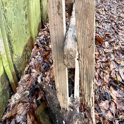 Handmade ladder