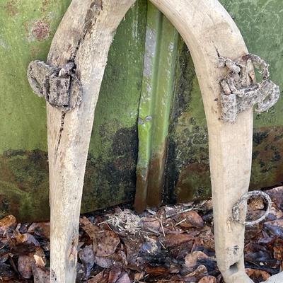 Old Plow