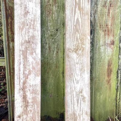 Architectural Salvage