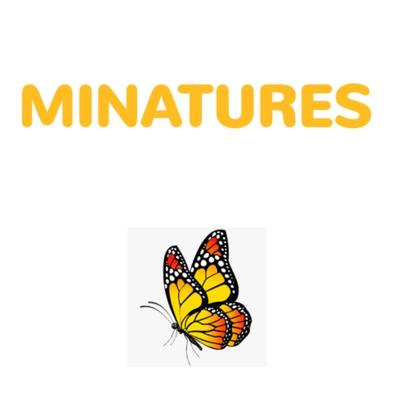 MINATURES COMING