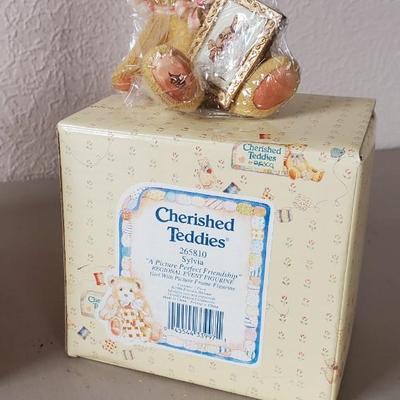 This collection has the center express snowbear the smooth sailing bear the cowbear in the Sylvia bear