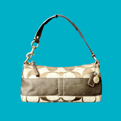 Coach Signature Stripe Shoulder Bag