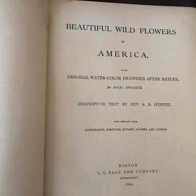 BOOK LOT