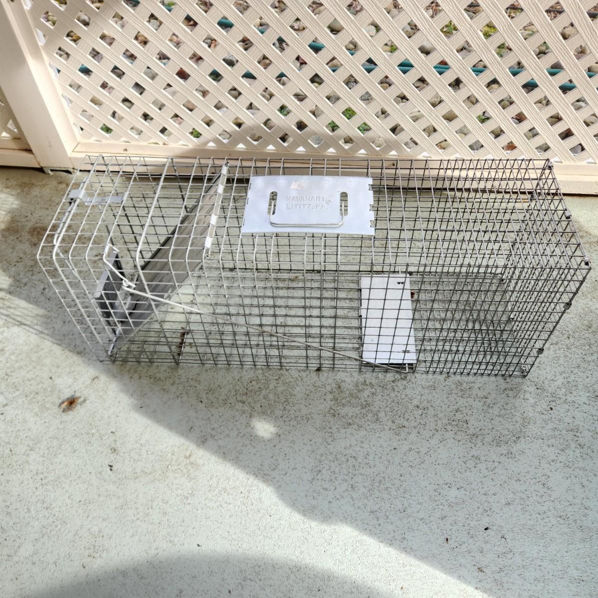 Havahart Lititz Pa Animal Trap 32x10 lot 907