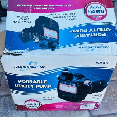 Portable Utility Pump and Floats (G-JM)