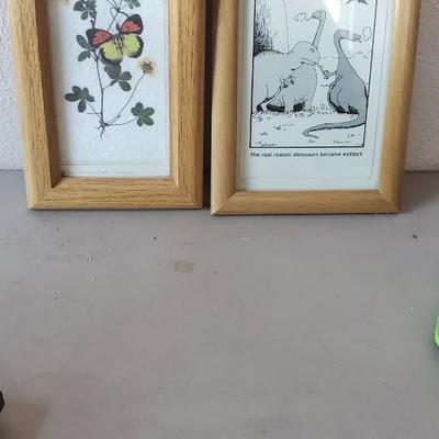Random photos