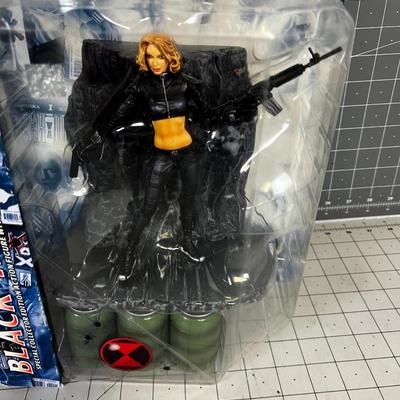 Marvel Blackwidow II on the Card 