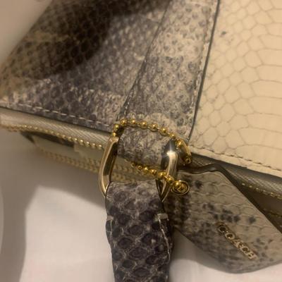 Coach purse/bag Rare Embossed Python Leather