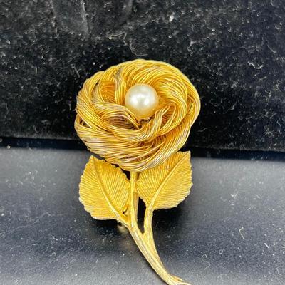 Shoe clips, pins, earrings, pin