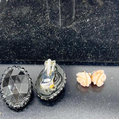 Shoe clips, pins, earrings, pin