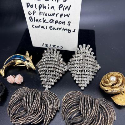 Shoe clips, pins, earrings, pin