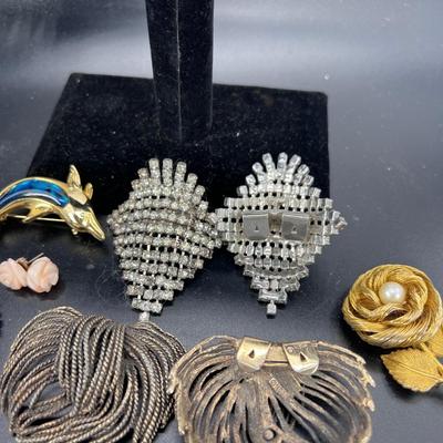 Shoe clips, pins, earrings, pin