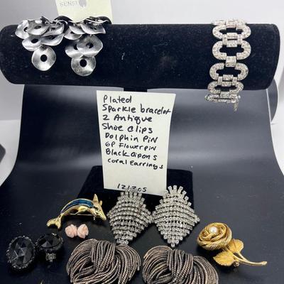 Shoe clips, pins, earrings, pin