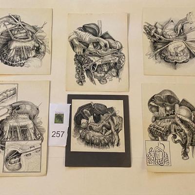 Original Medical Sci-Fi pen drawings