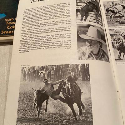 Rodeo Action