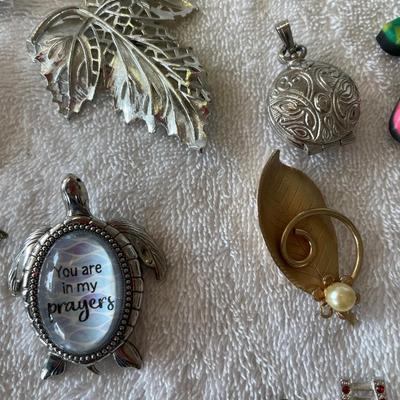 Jackpot group!  Brooches and other.