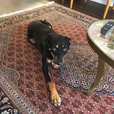 ABC Rugs Kilims Special Discount 70% off, Online and our OXNARD Showroom, ON Hand Knotted Rugs, Kilims, Arts, Jewelry, Gold &...