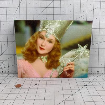 #29 Glinda The Good Witch Wall Mount- 10" x 8"
