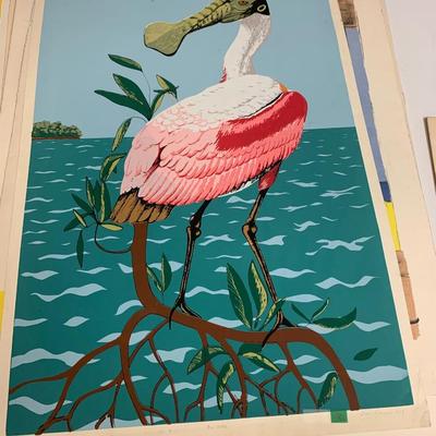 (Unframed) Amy Kimmich - Big Bird