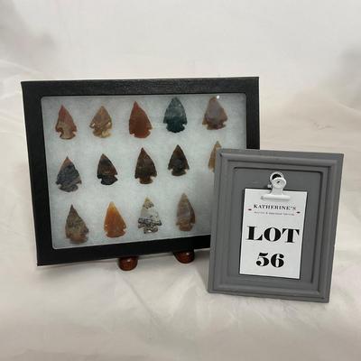 -56- COLLECTIBLE | Arrow Heads In Riker Box Display