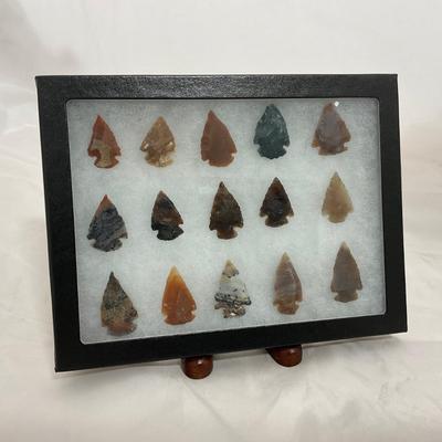 -56- COLLECTIBLE | Arrow Heads In Riker Box Display