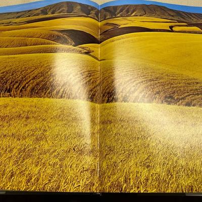 State Books w/Beautiful Pictures