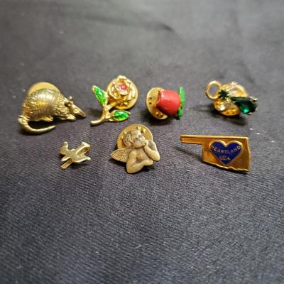 Pin Lot