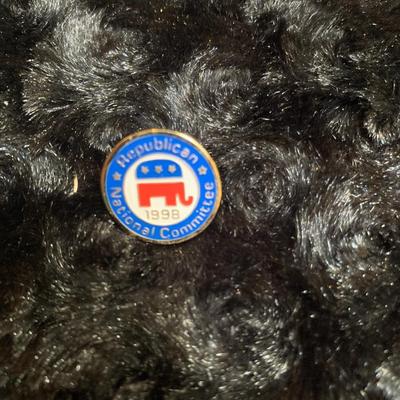 Misc Pin Lot