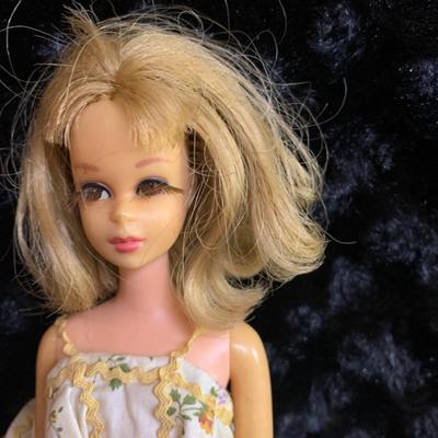 Vintage 1965 Francie Barbie