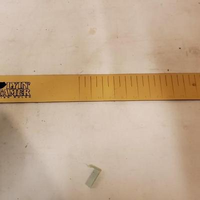 Metal fish ruler