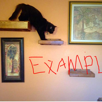 Floating Wall Shelves for Cat