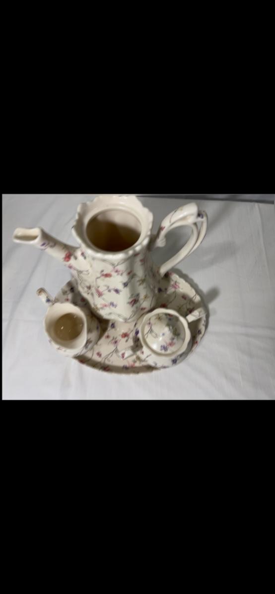 Beautiful Flower Print Tea Set***