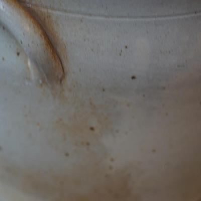 STONEWARE COBALT  TOMATO AND FEATHER /DECORATED HANDLED CROCK /FRUIT DECOR #3