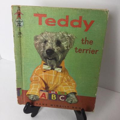 889 Antique Very Early Jointed Teddy Bear Steiff?