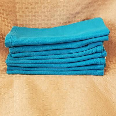 Turquoise Cloth Napkins