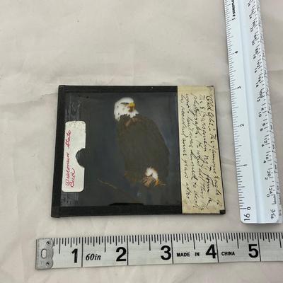 -144- VINTAGE | Magic Lantern Picture Slides