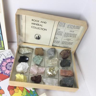 933 Vintage Childrenâ€™s Reference Books, Rock Collection and Abacus