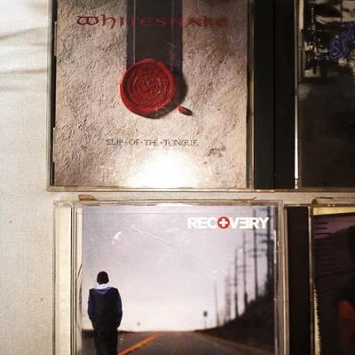 BIG BAND NAMES ON CD-PEARL JAM-CARS-P.O.D-GUNS & ROSES-MORE