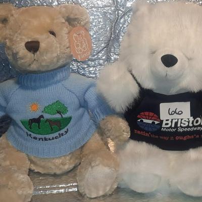 VERMONT AND BRISTOL SPEEDWAY BEARS