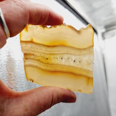 SOME SORT OF SLICED AGATE STONE