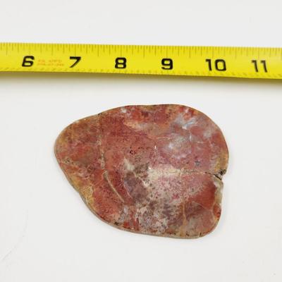 SLICED OCEAN JASPER ROCK
