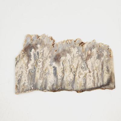 SLICED GRAVEYARD POINT PLUME AGATR STONE