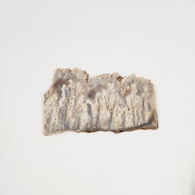 SLICED GRAVEYARD POINT PLUME AGATR STONE