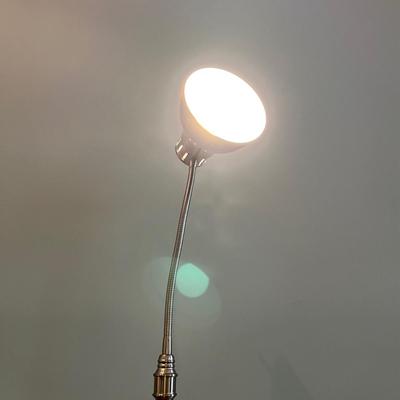 Floor Lamp With Adjustable Gooseneck (LR-MG)